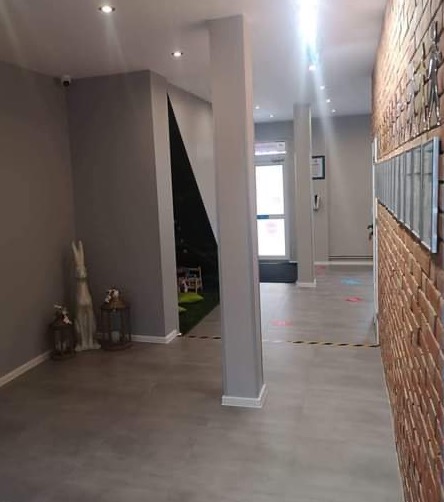 224004482 515594086159974 5942385508387029272 n